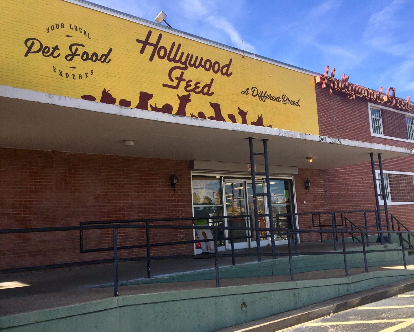 hollywood feed broad